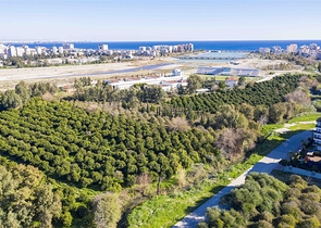 شقة مفروشة 2 + 1 في مجمع ليمان كونيالتي