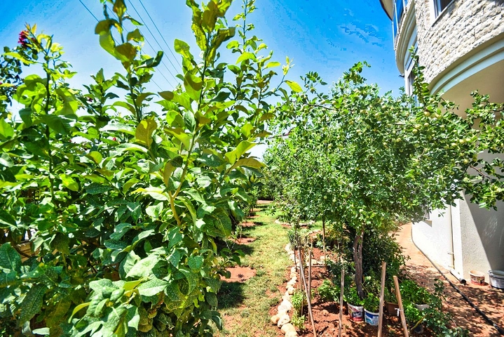 فيلا 6 + 1 في دوشيميتي انطاليا