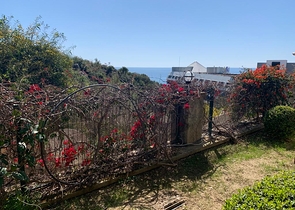 شقة 2 غرفة وصالة - ضمن مجمع باطلالة ساحرة على البحر - في كوناكليه / الانيا 