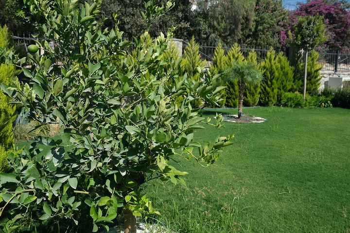 إقامة فريدة من نوعها في شبه جزيرة بودروم! (المرحلة 2)