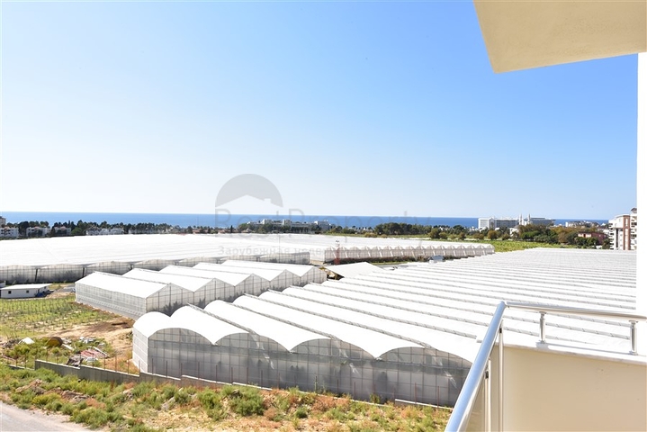 شقة مفروشة 1 + 1 في حي أفسالار 