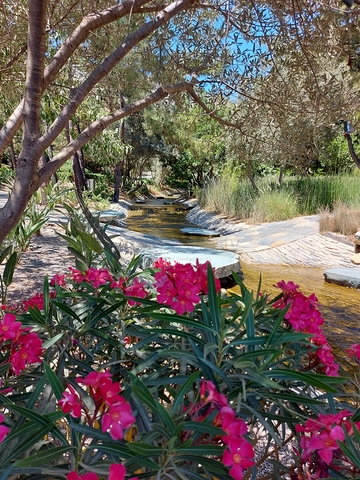 مشروع فاخر في ركن الجنة في خليج ديميربوكيو