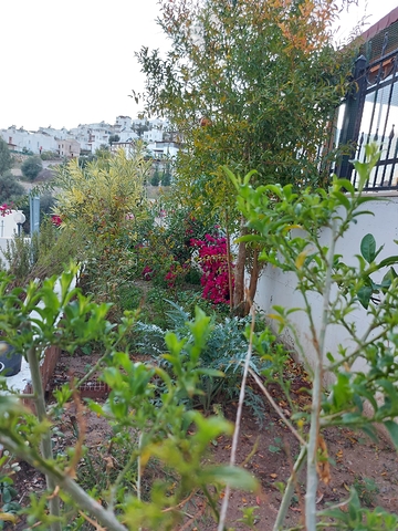 فلل للبيع في بودروم 