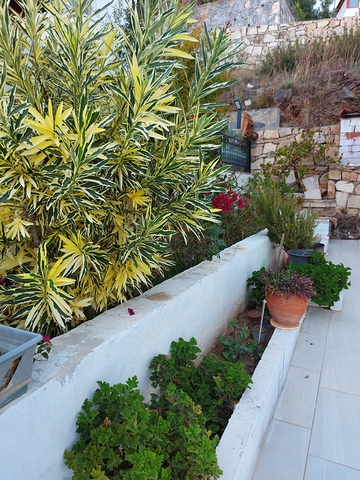 فلل للبيع في بودروم 