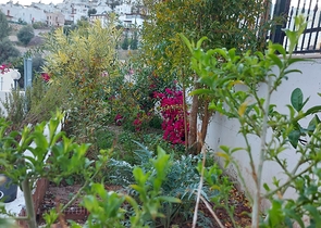 فلل للبيع في بودروم 