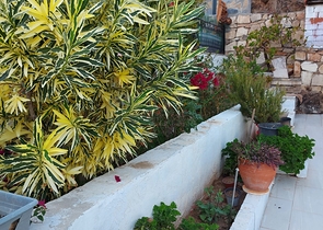 فلل للبيع في بودروم 