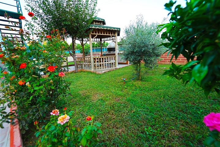 شقة واسعة غرفة وصالة -ضمن مجمع يضم خدمات -في محمودلار / الانيا