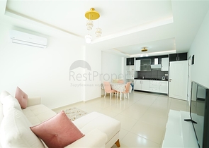 شقة واسعة غرفة وصالة -ضمن مجمع يضم خدمات -في محمودلار / الانيا