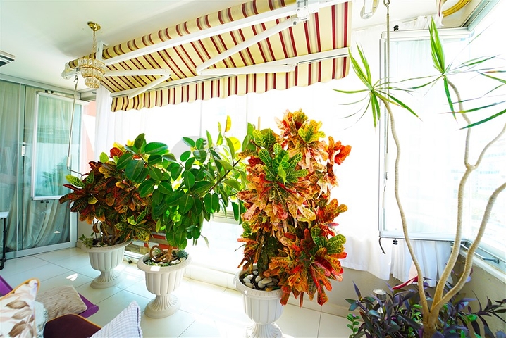 شقة انيقة في محمودلار - 2 غرفة وصالة مفروشة -ضمن مجمع حديث -الانيا 