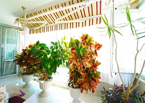 شقة انيقة في محمودلار - 2 غرفة وصالة مفروشة -ضمن مجمع حديث -الانيا 