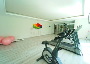 شقة انيقة في محمودلار - 2 غرفة وصالة مفروشة -ضمن مجمع حديث -الانيا 