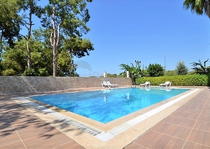 اطلالة بحر -بسعر مناسب -شقة غرفة وصالة مفروشة -في افسلار / الانيا 