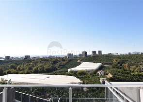 استديو اطلالة بحر -ضمن مجمع سكني يضم كافة الخدمات -في كارجيجاك / الانيا