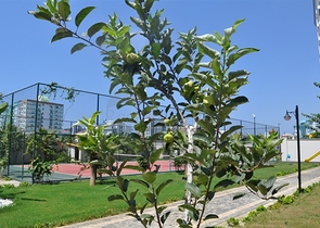 شقة عائلية فاخرة - غرفتين وصالة مفروشة -مجمع 5 نجوم -في محمودلار / الانيا 