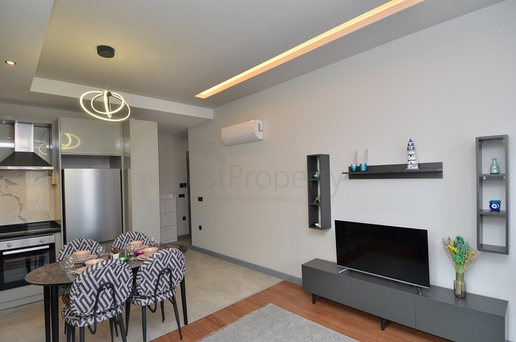 شقة مناسبة للاستثمار في مركز الانيا - غرفة وصالة مفروشة -كليوباترا / الانيا 