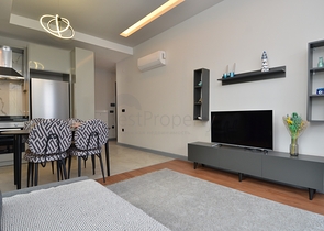 شقة مناسبة للاستثمار في مركز الانيا - غرفة وصالة مفروشة -كليوباترا / الانيا 