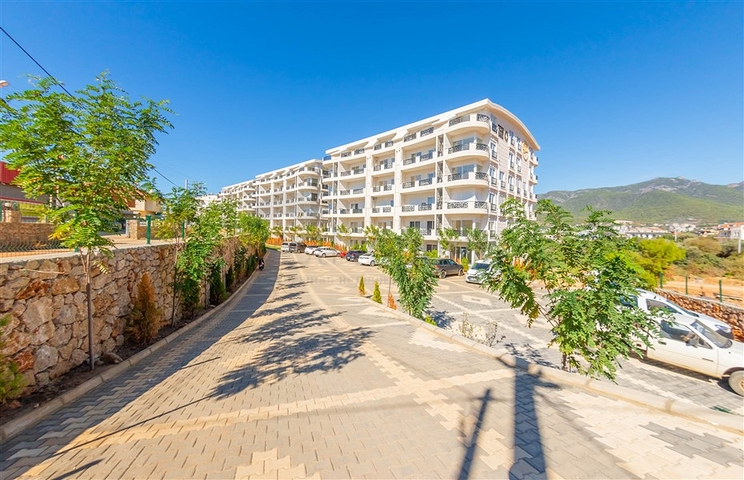 شقة مناسبة للاستثمار في مركز الانيا - غرفة وصالة مفروشة -كليوباترا / الانيا 