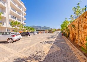 شقة مناسبة للاستثمار في مركز الانيا - غرفة وصالة مفروشة -كليوباترا / الانيا 