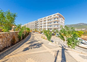 شقة مناسبة للاستثمار في مركز الانيا - غرفة وصالة مفروشة -كليوباترا / الانيا 