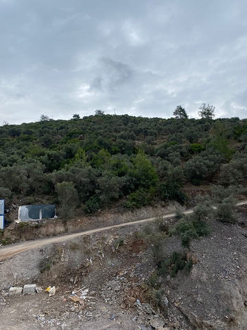 فيلات فريدة مطلة على البحر