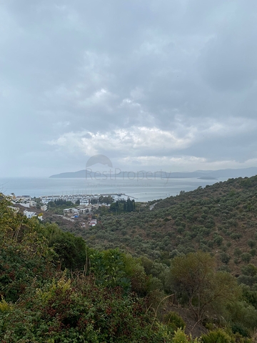 فيلات فريدة مطلة على البحر