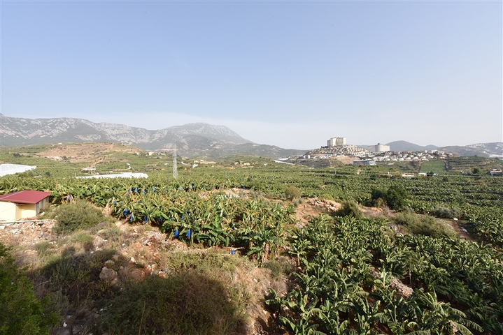 شقة بسعر مناسب - غرفتين وصالة مفروشة -في محمودلار / الانيا 