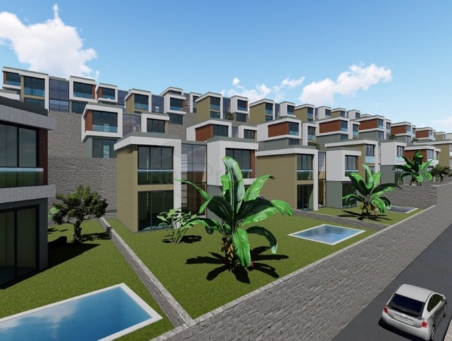 حياة رائعة في شبه جزيرة ذات طبيعة فريدة