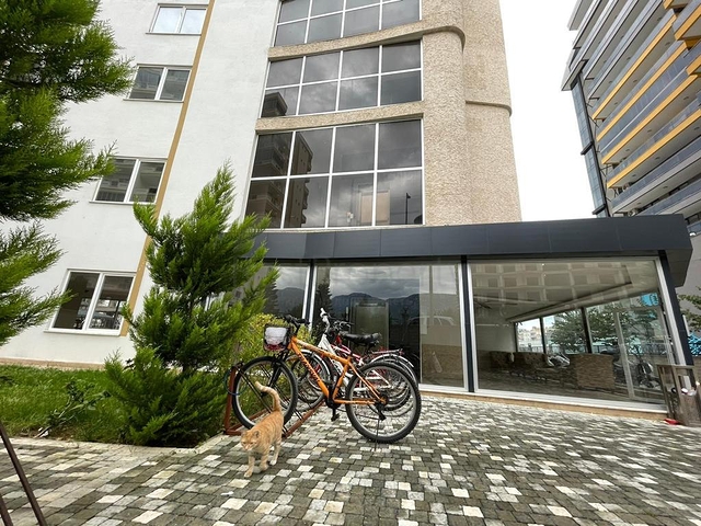 شقة غرفتين وصالة مفروشة -قريبة من البحر والخدمات -محمودلار / الانيا 