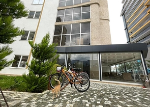 شقة غرفتين وصالة مفروشة -قريبة من البحر والخدمات -محمودلار / الانيا 