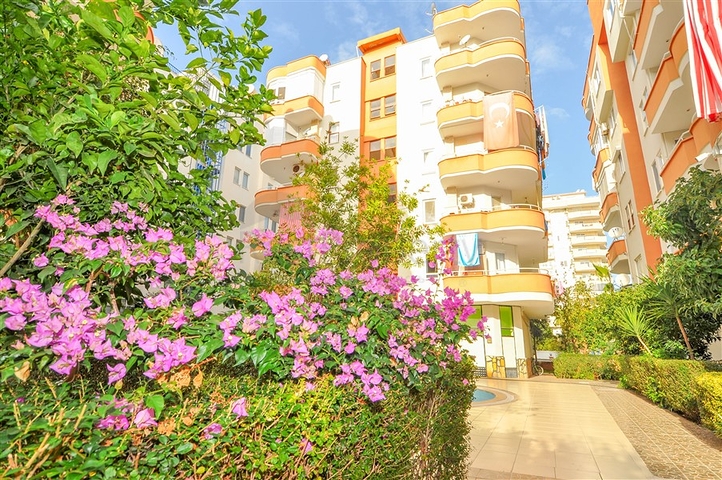 شقق قريبة من البحر في الانيا - غرفتين وصالة -اثاث جديد -في محمودلار 