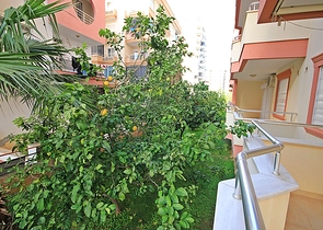 قريبة من البحر - شقة 2 غرفة وصالة مفروشة -في محمودلار / الانيا 