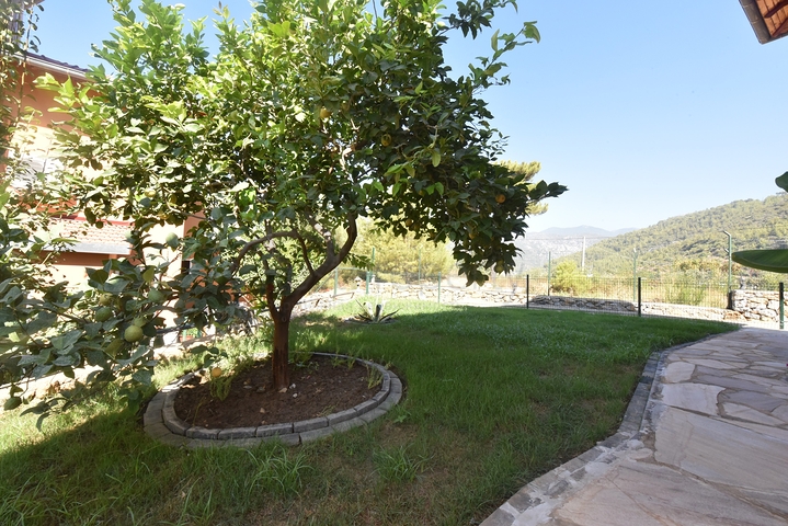 فيلات للبيع في الانيا - 3 غرف وصالة مفروشة -في اوبا / الانيا 