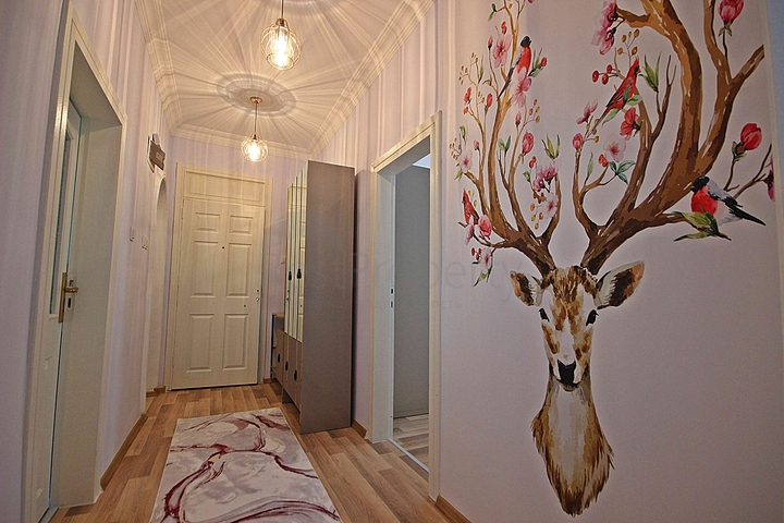 شقق للبيع في مدينة الانيا- غرفتين وصالة مع مطبخ منفصل -اثاث جديد -في محمودلار / الانيا 