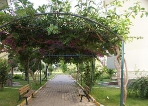 100 متر الى البحر - شقة غرفتين وصالة في اوبا / الانيا