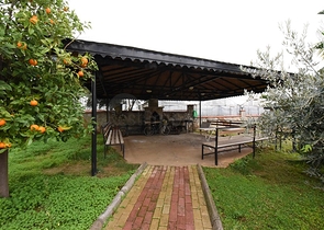 اطلالة بحر - دوبلكس 3 غرف وصالة في ديمرتاش / الانيا 