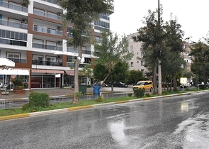 محلات للبيع في الانيا - قريب من شاطئ كليوباترا 