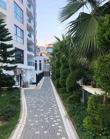 شقق في مركز الانيا - غرفة وصالة ضمن مجمع فاخر . 