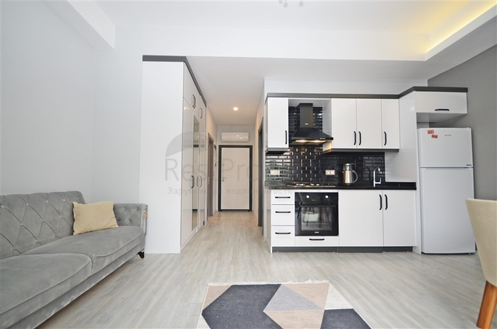 شقة غرفة وصالة مفروشة -مجمع سكني حديث - في محمودلار/ الانيا 