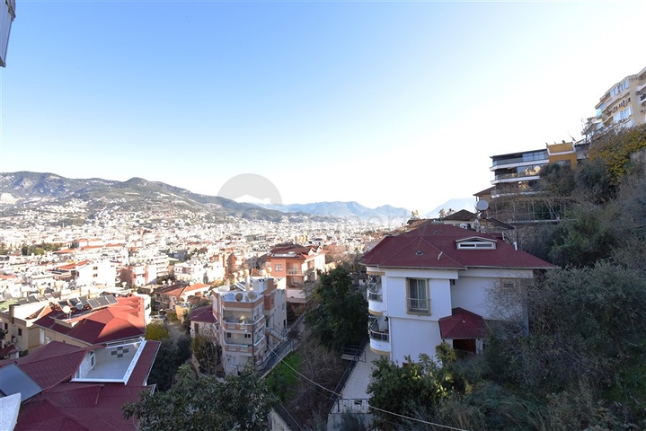 شقة 3 غرف وصالة مفروشة -موقع مركزي بالقرب من قلعة الانيا 