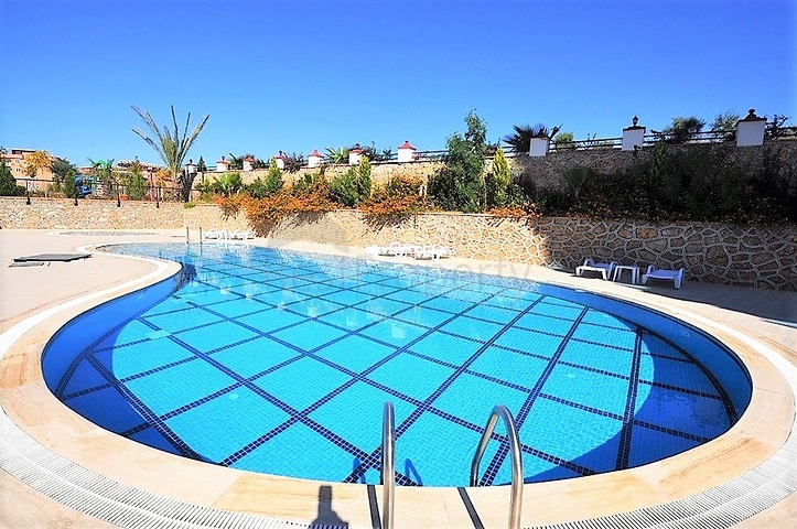 شقة غرفة وصالة واسعة -مفروشة وضمن مجمع - في توسمور / الانيا 