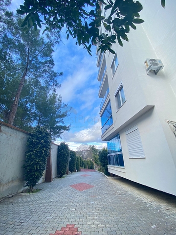 شقة بسعر منافس ! غرفتين وصالة ضمن مجمع سكني في افسلار / الانيا 