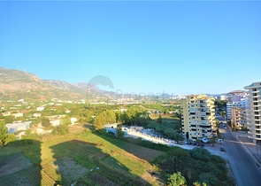 شقة غرفة وصالة مفروشة -في محمودلار / الانيا 