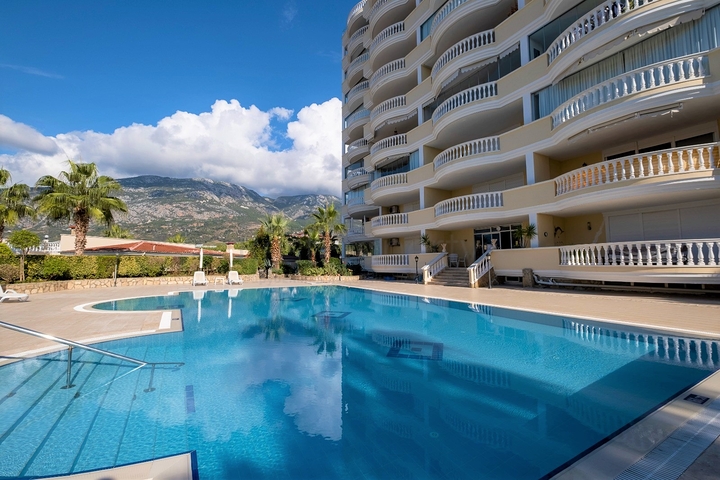 شقة واسعة - غرفتين وصالة مفروشة -في محمودلار / الانيا 