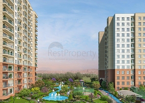 مشروع مفهوم الأسرة في منطقة أفجيلار