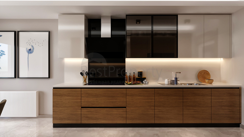 مشروع استثماري جديد في منطقة أفزيلار 