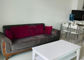 شقة غرفة وصالة مفروشة - مجمع انيق - في كاستل / الانيا 