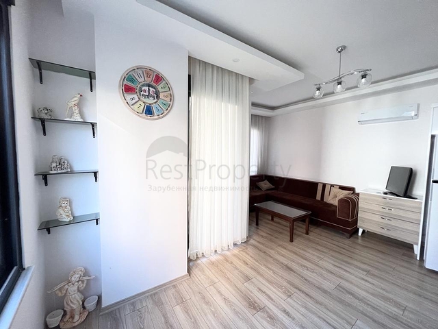 مناسبة للاستثمار - شقة غرفة وصالة ضمن مجمع جديد في مركز الانيا 