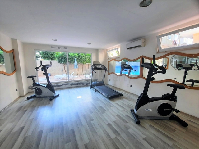 شقق للبيع في مركز الانيا - دوبلكس غرفتين وصالة جديدة - الانيا 