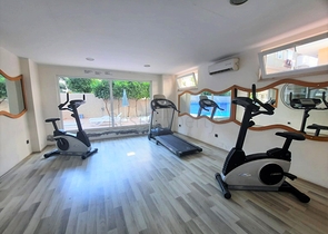 شقق للبيع في مركز الانيا - دوبلكس غرفتين وصالة جديدة - الانيا 