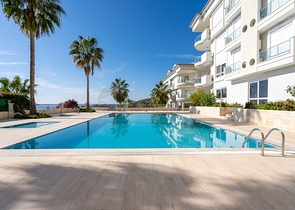 شقة اطلالة بحر في مركز الانيا - غرفتين وصالة ضمن مجمع - مركز الانيا 